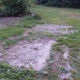 The dirt rectangles are reminders of where cars sat for years.